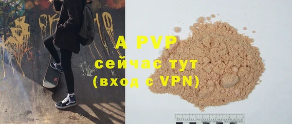 стафф Богородицк