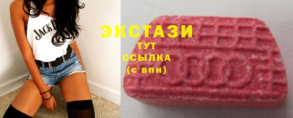 стаф Богданович