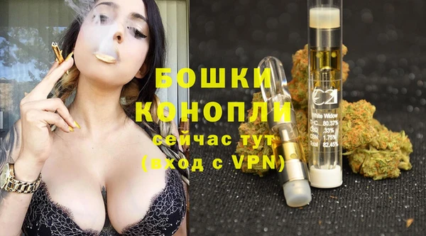 Альфа ПВП Лагань