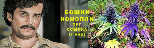 индика Бронницы