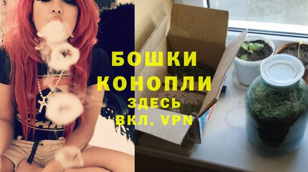 spice Ладушкин