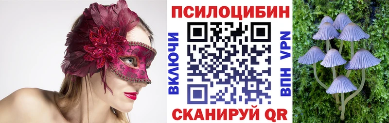 наркошоп МЕГА ССЫЛКА Галлюциногенные грибы Magic Shrooms Вилючинск